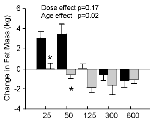 Hoge doses testosteron bij oudere mannen: minder effect, meer bijwerkingen