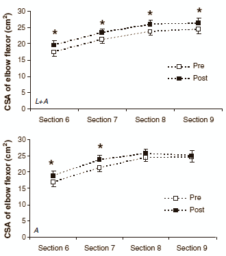 Wil je grotere biceps? Gebruik de hormoonpiek na je benentraining