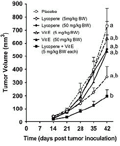 Combinatie lycopeen en vitamine E remt prostaatkanker in dierstudie