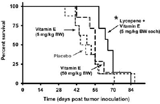 Combinatie lycopeen en vitamine E remt prostaatkanker in dierstudie