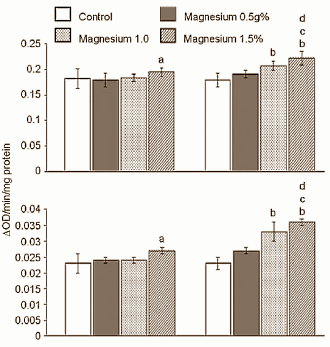 Megadosis magnesiumsulfaat verhoogt testosteronspiegel in dierstudie