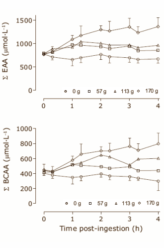 Portie vlees na workout stimuleert spiergroei