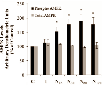 Grapefruitflavonoid naringenin laat spieren meer glucose opnemen