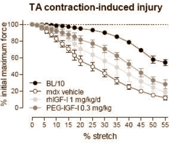 Farmaconcern Roche experimenteert met een nieuwe variant van het spierversterkende hormoon IGF-1. Binnenkort publiceren onderzoekers van Roche een studie waarin PEG-IGF-1 minder bijwerkingen dan het reguliere IGF-1 - en chemische sporters waarschijnlijk nog aan betere resultaten helpt ook.