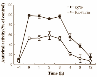 Banaba-flavonoid quercetin-7-glycoside beschermt tegen virusinfectie