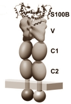 Rokende snoepkont is minder sterk