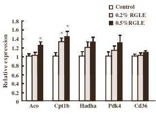 Red Grape Leaf-extract is duursportsupplement