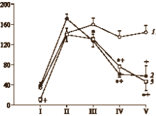 Verhoog je testosteronspiegel - doe je eigen ding