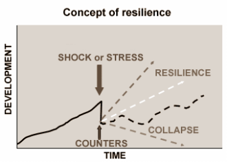 Negentigers met doorzettingsvermogen halen de 100 ook wel