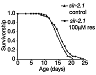 Resveratrol verlengt levensduur meercellige organismen