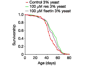 Resveratrol verlengt levensduur meercellige organismen