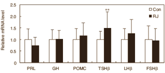 Dierstudie: Royal Jelly verjongt de hypofyse