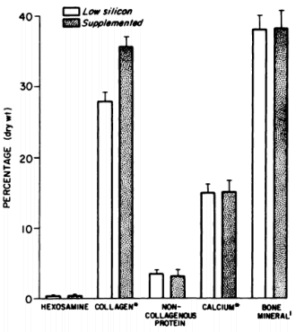 Hoe meer silicium je via je voeding binnenkrijgt, des te sterker zijn je botten. Dat geldt ook voor je gewrichten. Dat suggereren de klassieke dierstudies uit de jaren zeventig die het belang van silicium voor het skelet hebben aangetoond.