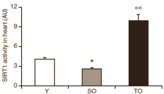 Dierstudie: elke dag drie kwartier hardlopen verjongt