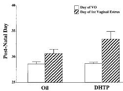 Stanozolol is een zwak oestrogeen