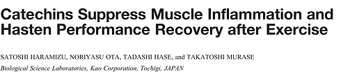 Supplementen met groene thee beschermen niet alleen spieren tijdens zware fysieke inspanning. De catechins in thee versnellen ook het herstel na die inspanning. Dat blijkt uit een dierstudie die onderzoekers van de Japanse Kao Corporation hebben gepubliceerd in Medicine and Science in Sports and Exercise.