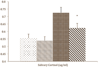 Minder cortisol en meer testosteron door 200 mg Tongkat Ali per dag
