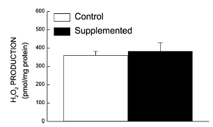 Waarom vitamine E het leven niet verlengt