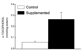 Waarom vitamine E het leven niet verlengt