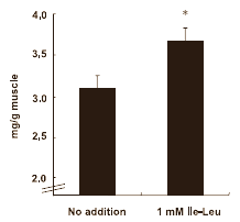 Dipeptiden in wheyhydrolisaat zijn glucoseboosters