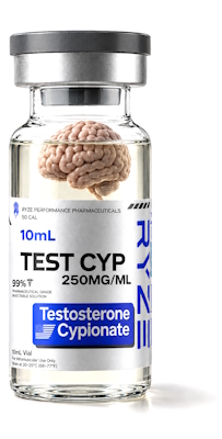 Dit doet testosteron met je hersenen